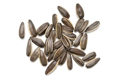 Sunflower Seeds