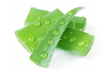 Aloevera